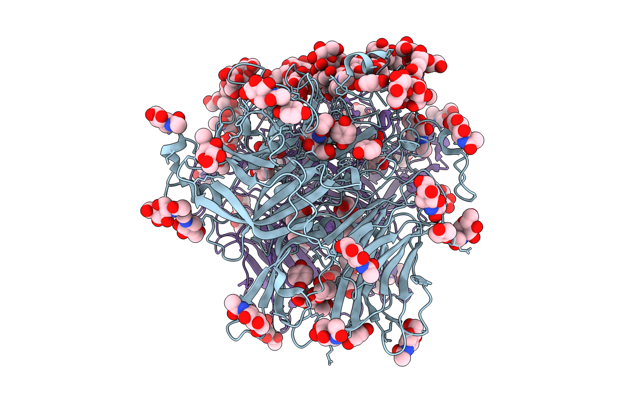6S82 image