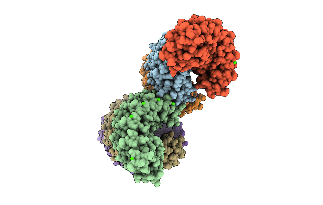 6S9N image