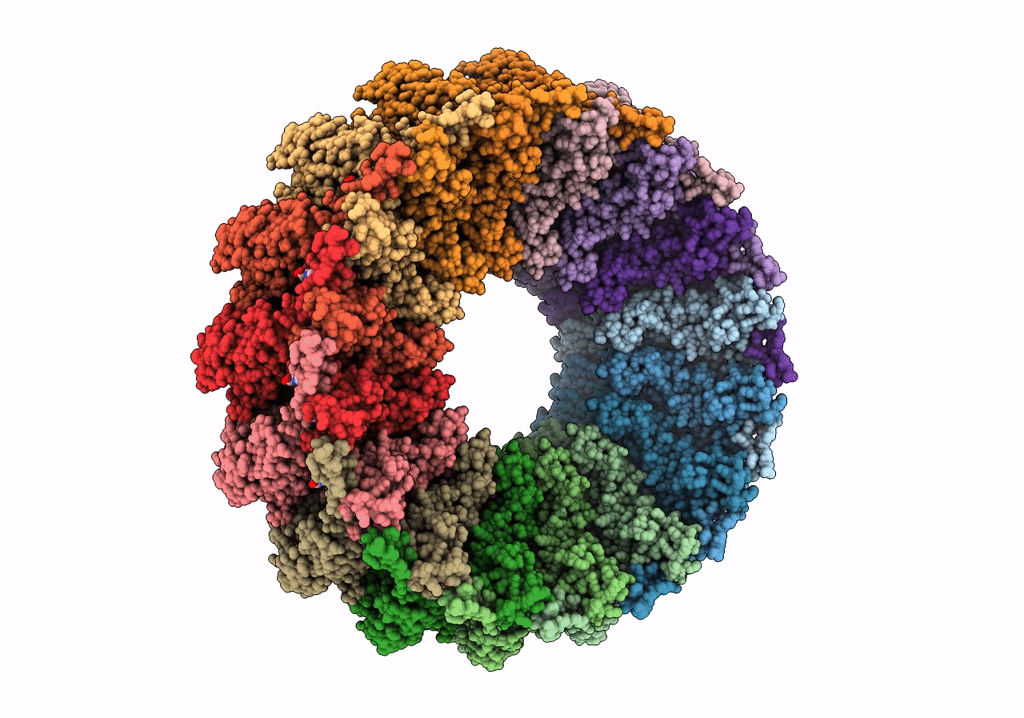 6SB3 image