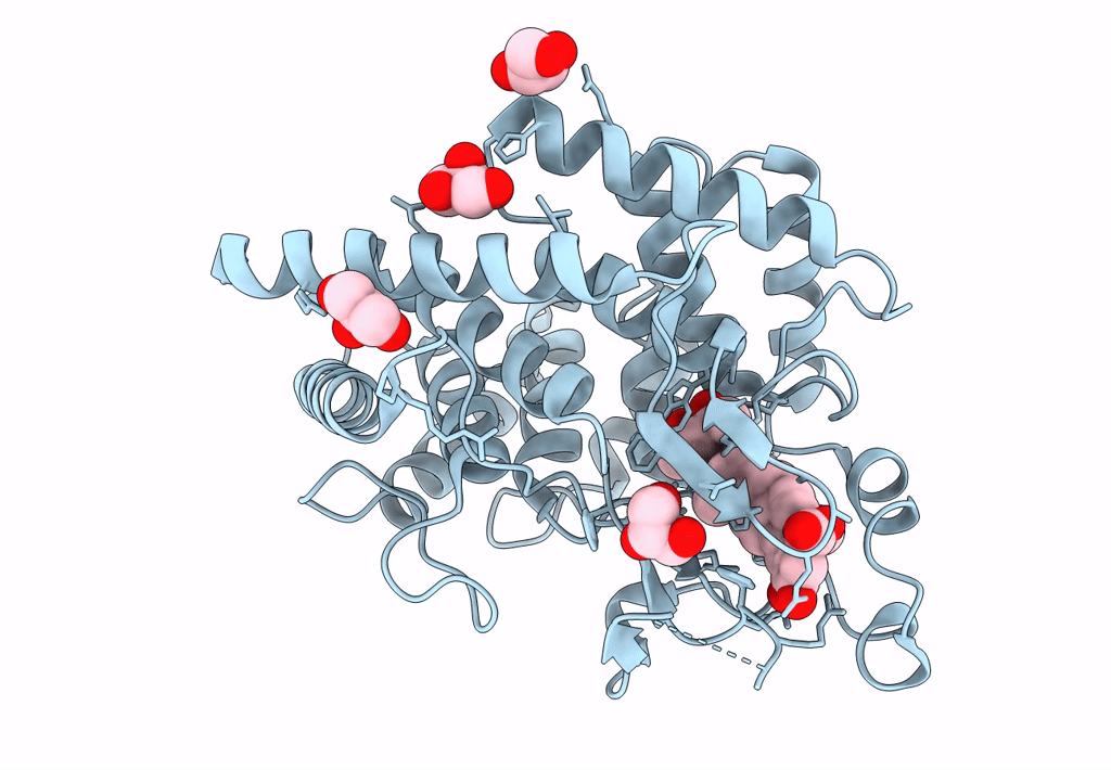 6SBD image