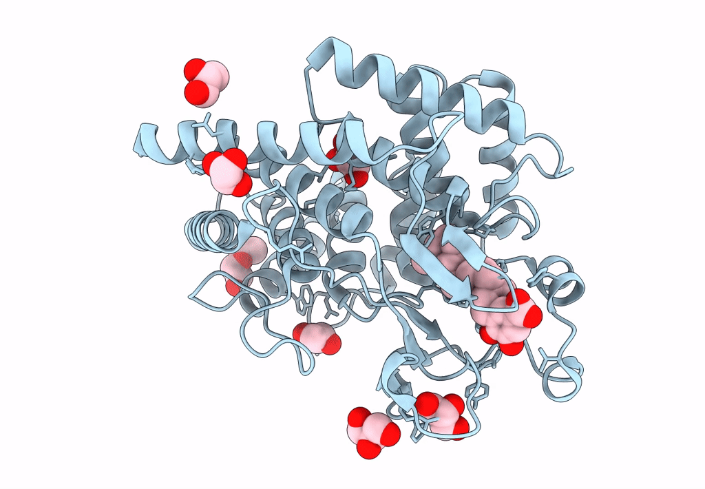 6SBE image