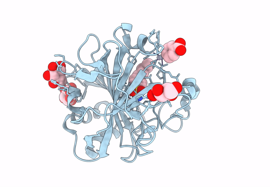 6SBH image