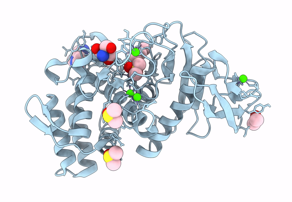 6SBK image