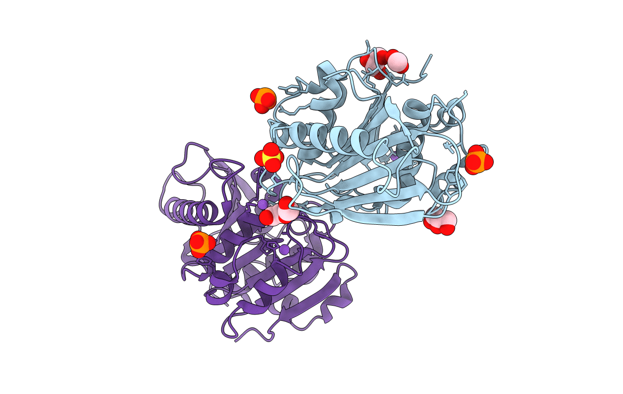 6SCD image