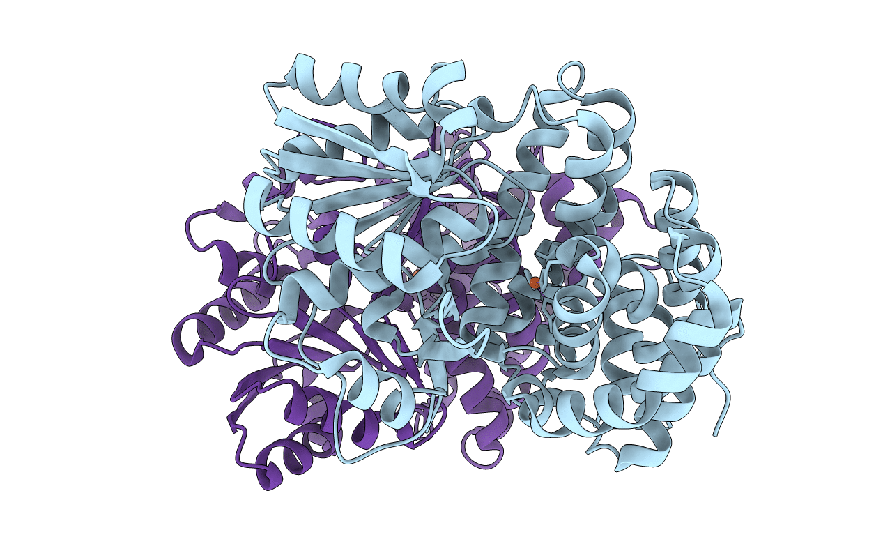 6SCI image