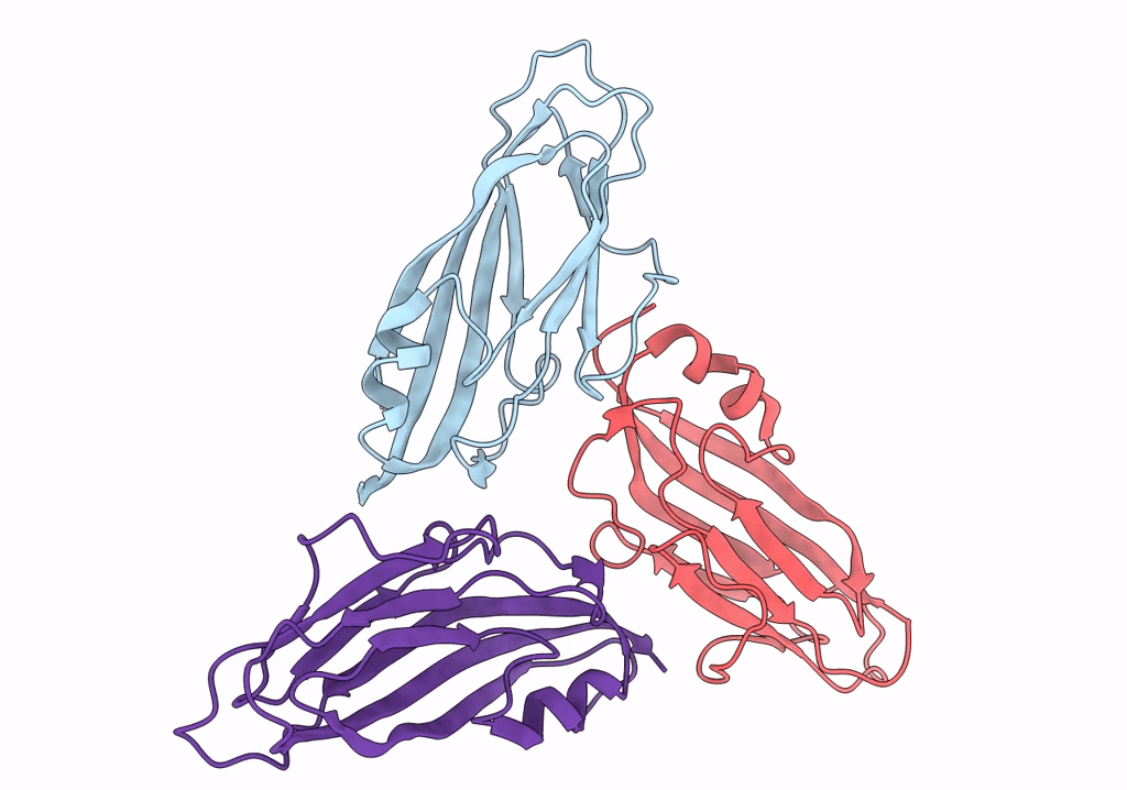 6SCL image