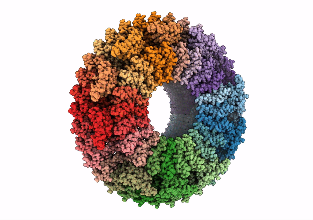 6SD3 image