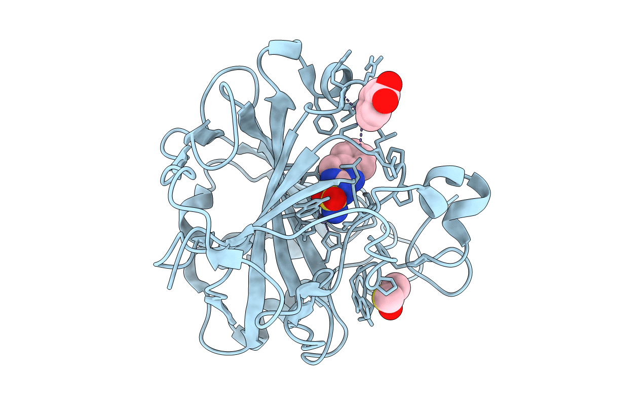 6SDH image