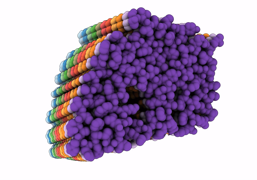 6SDZ image