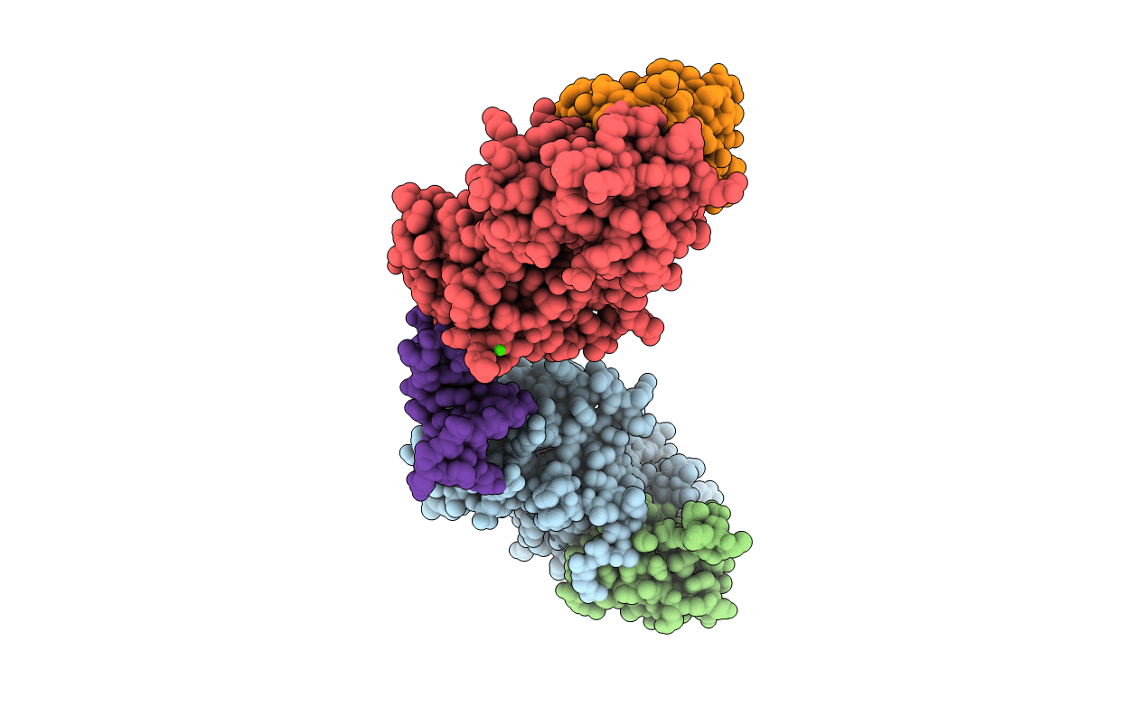 6SEI image
