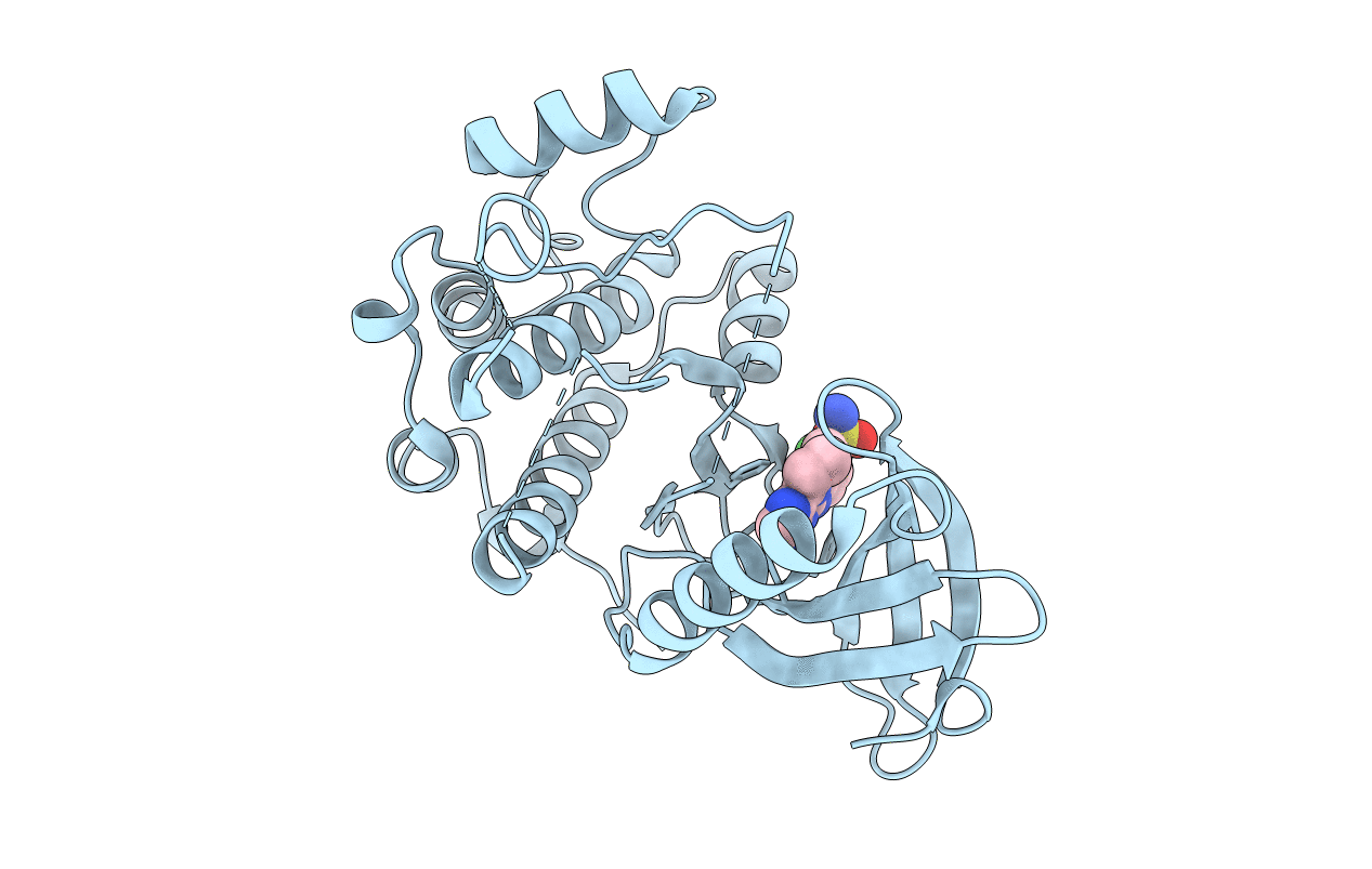 6SGI image