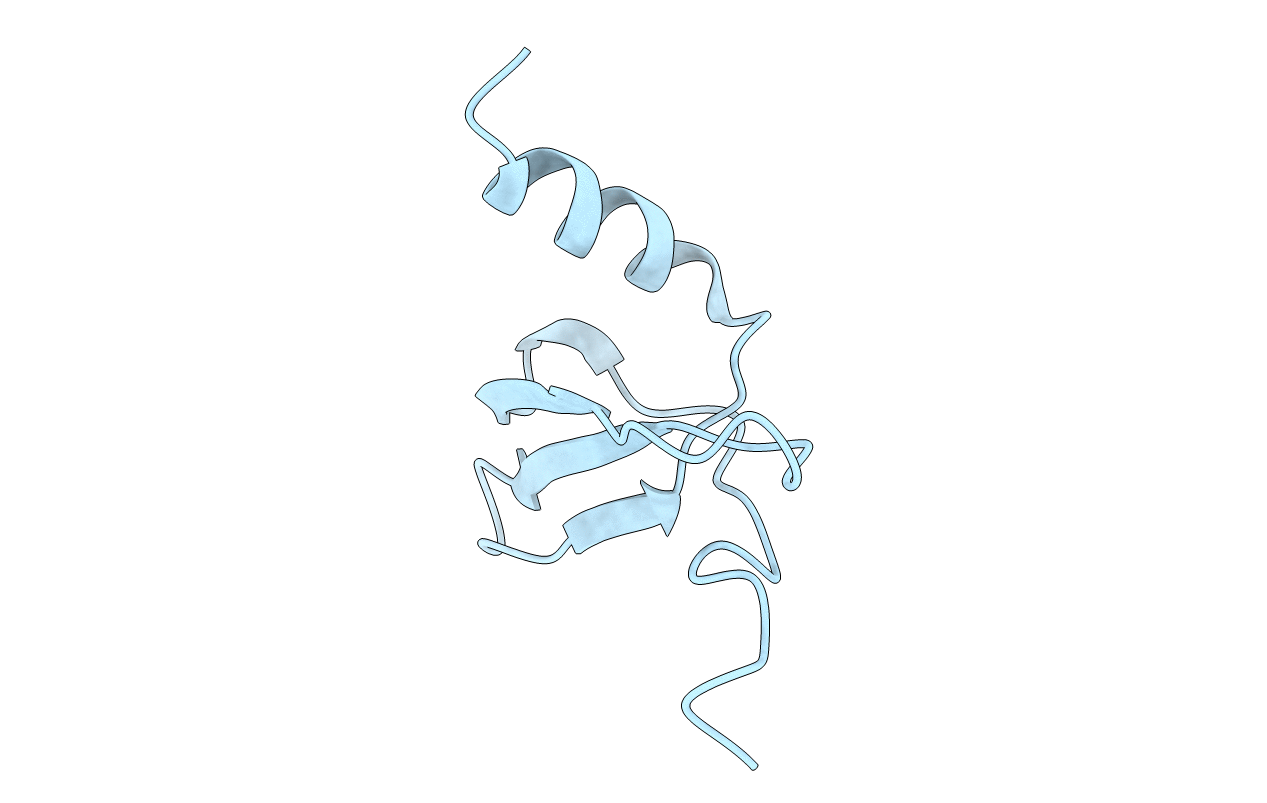 6SHR image