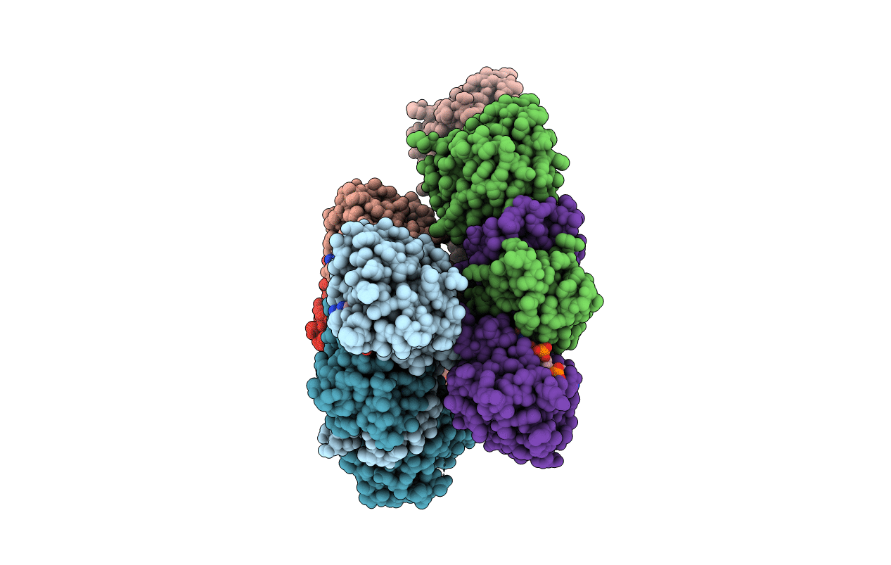 6SLE image