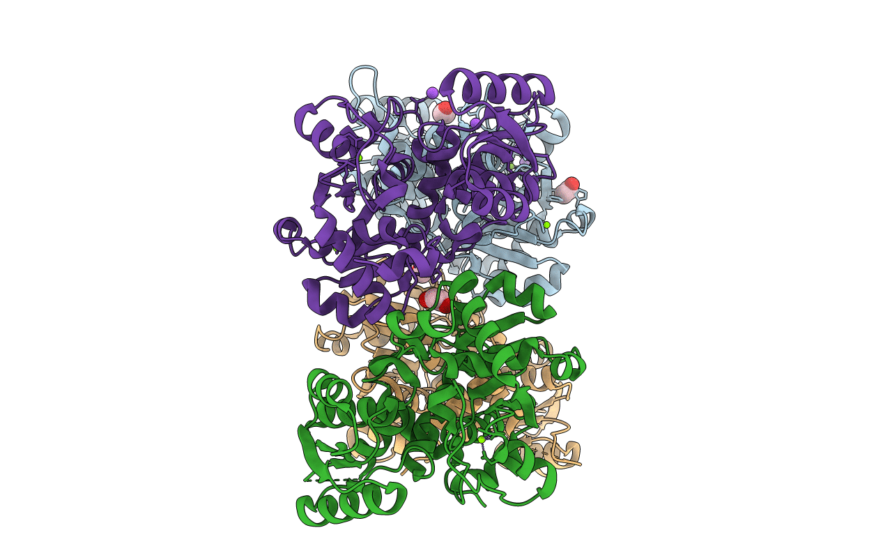 6SLH image