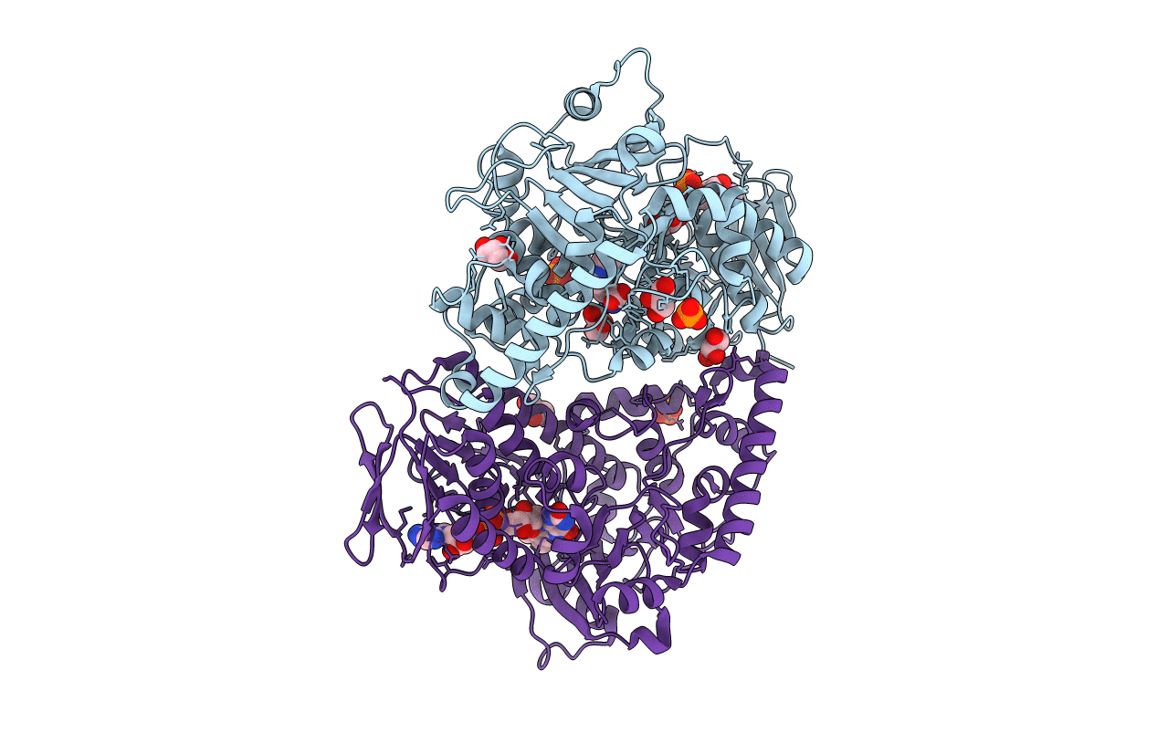 6SLT image
