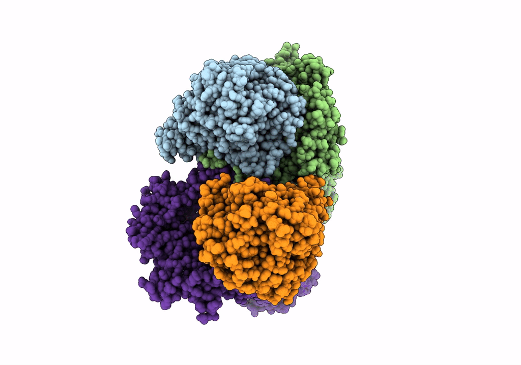 6SMQ image
