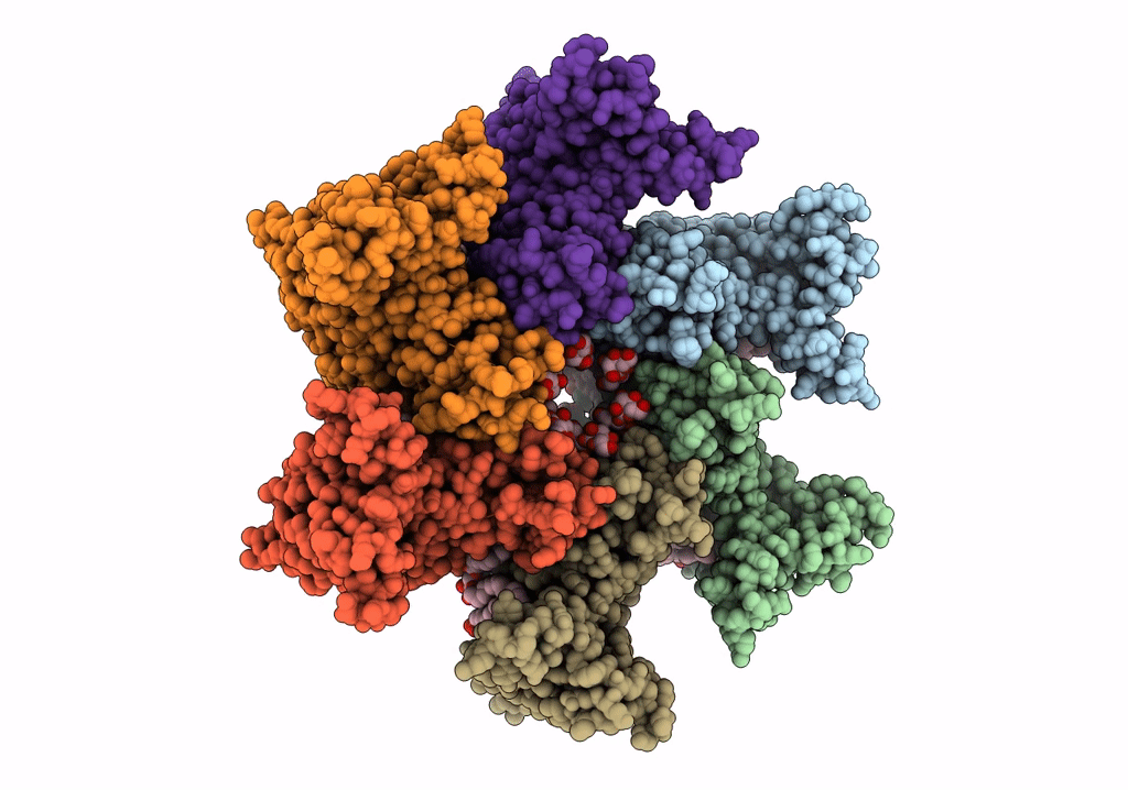 6SP2 image