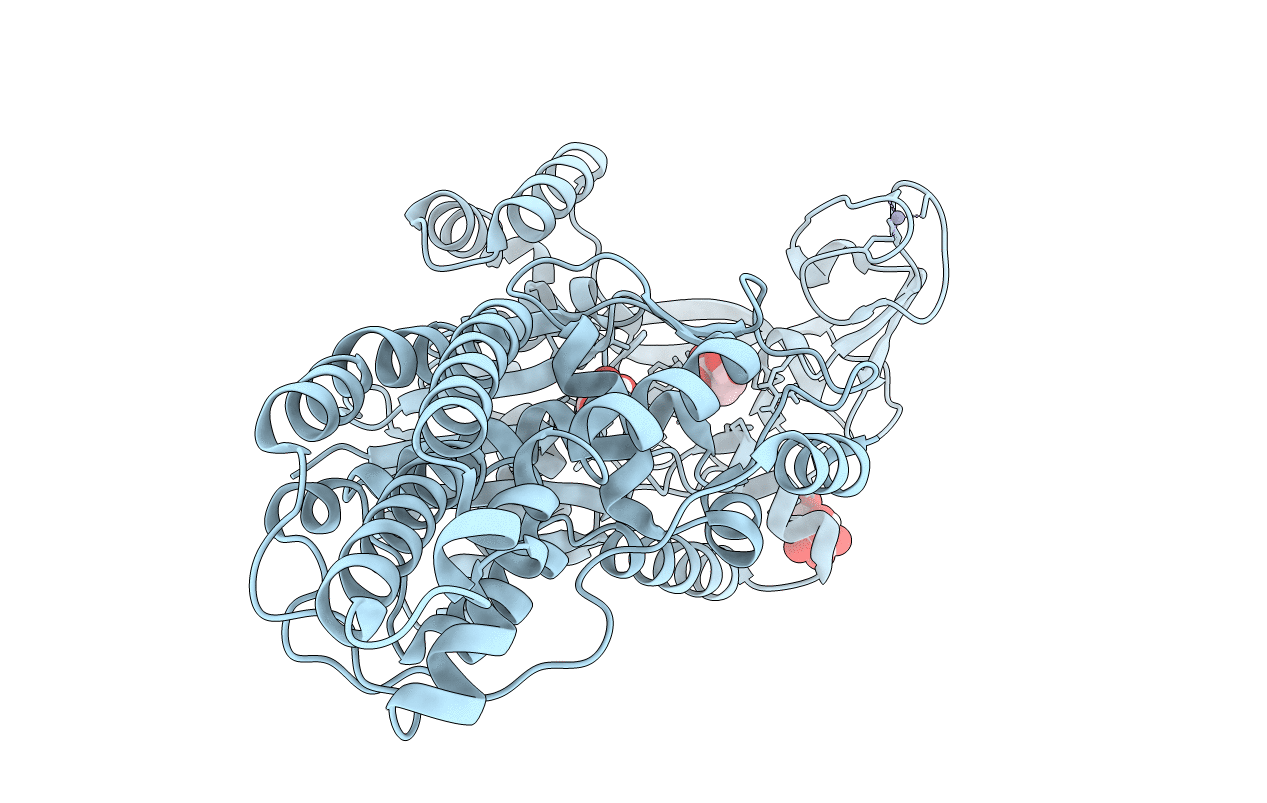 6SPP image