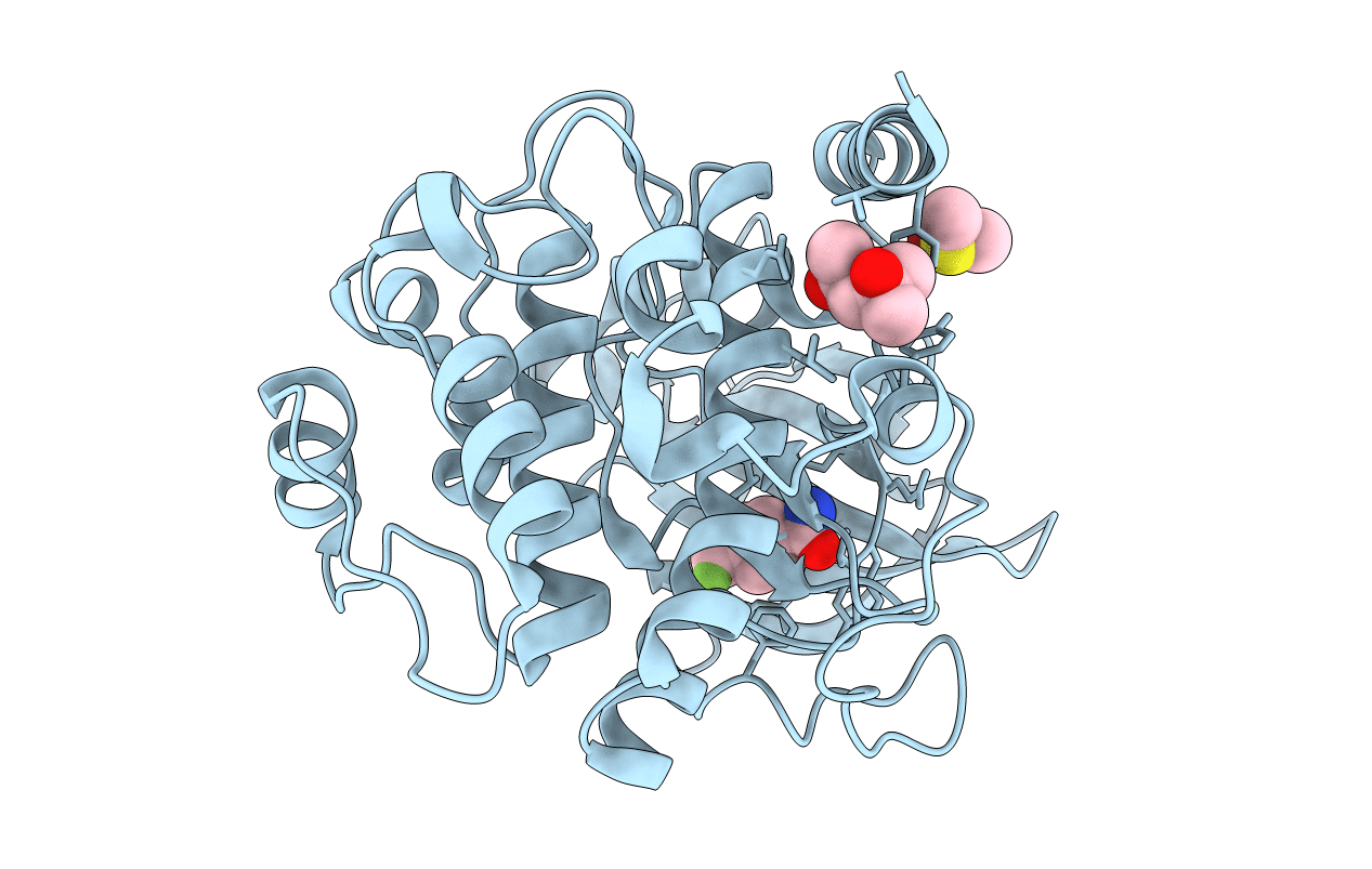 6SPS image