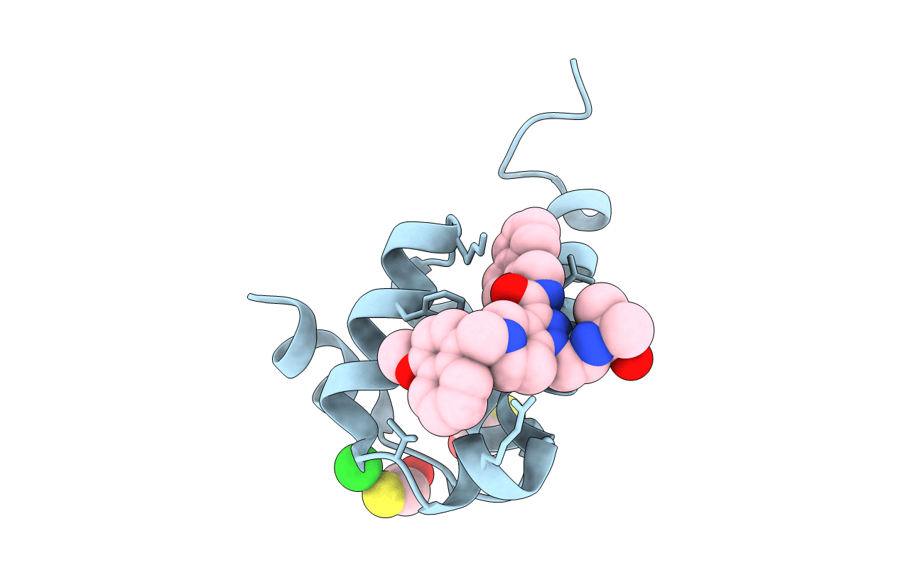 6SPT image