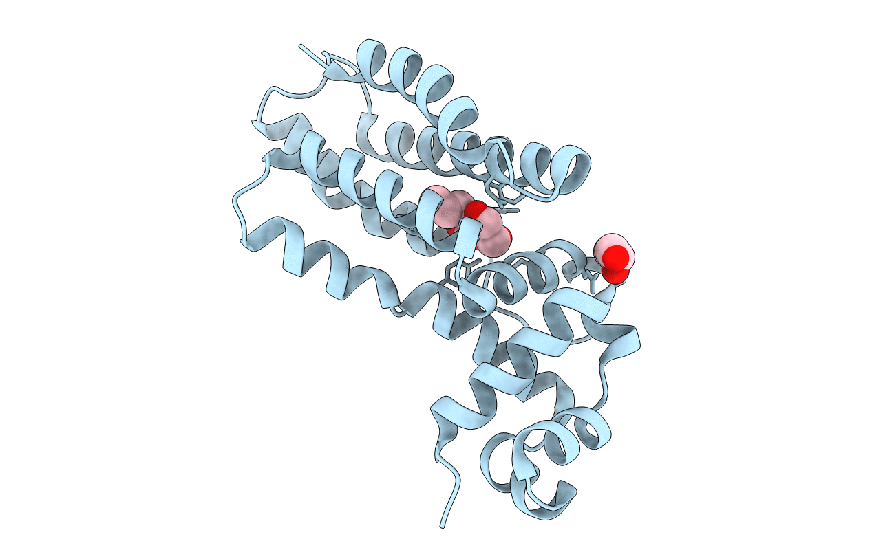 6SRN image