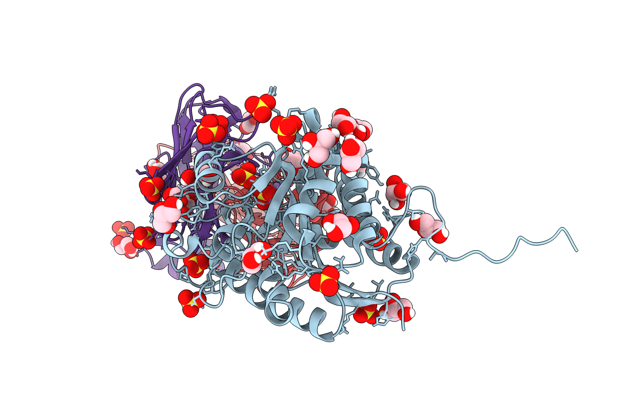 6SS2 image