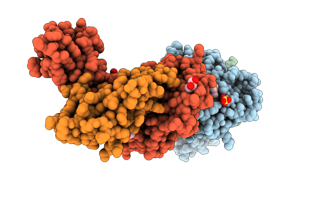 6SS9 image
