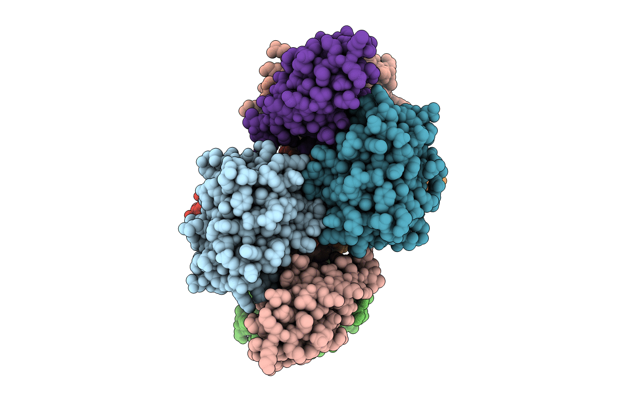 6STJ image
