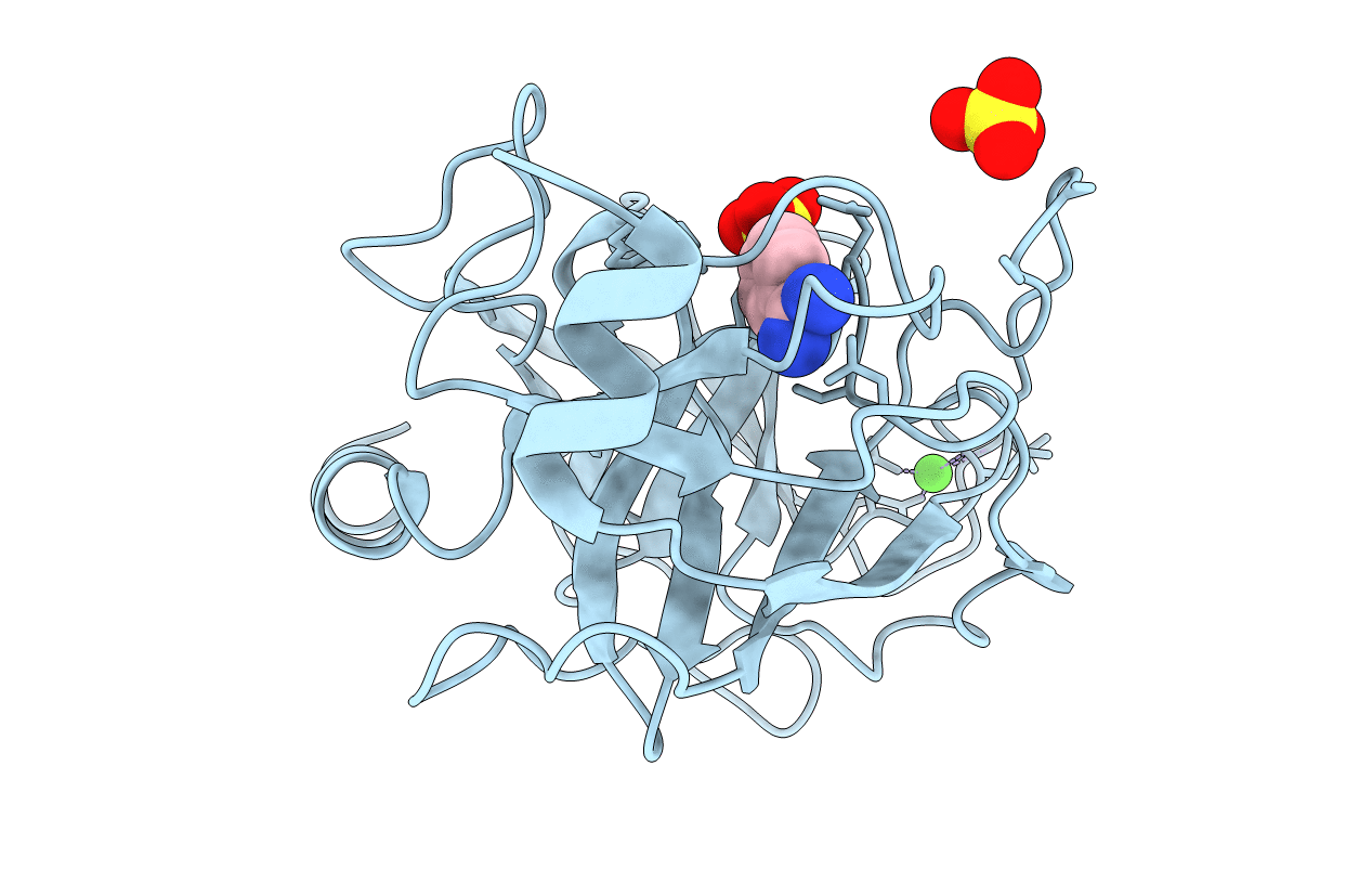 6SVI image