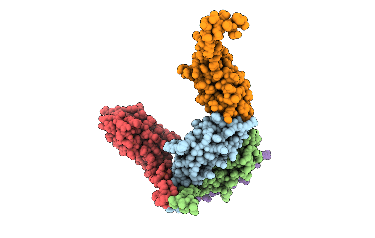6SWS image