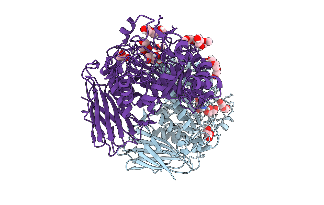 6SXV image