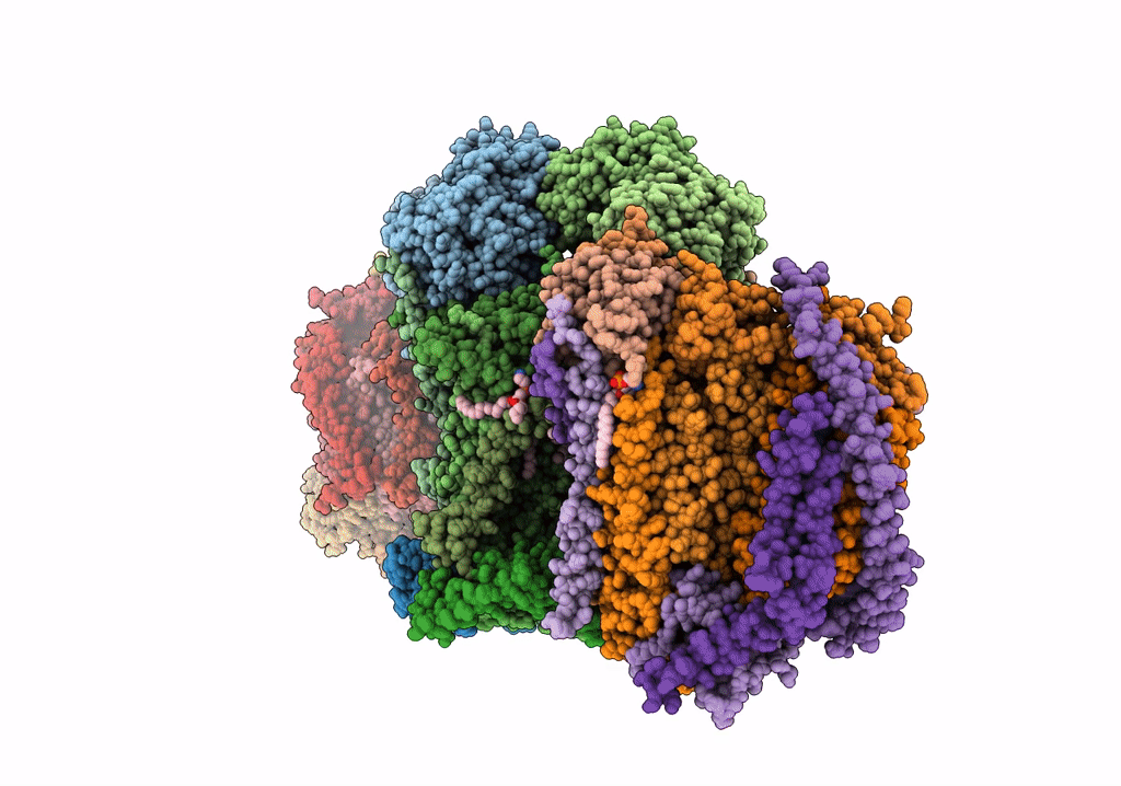 6T0B image