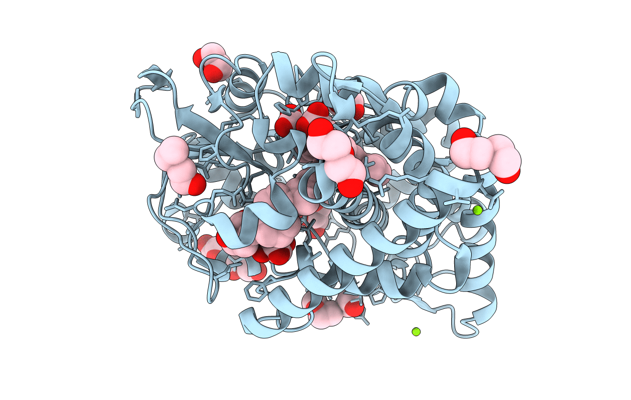 6T0H image