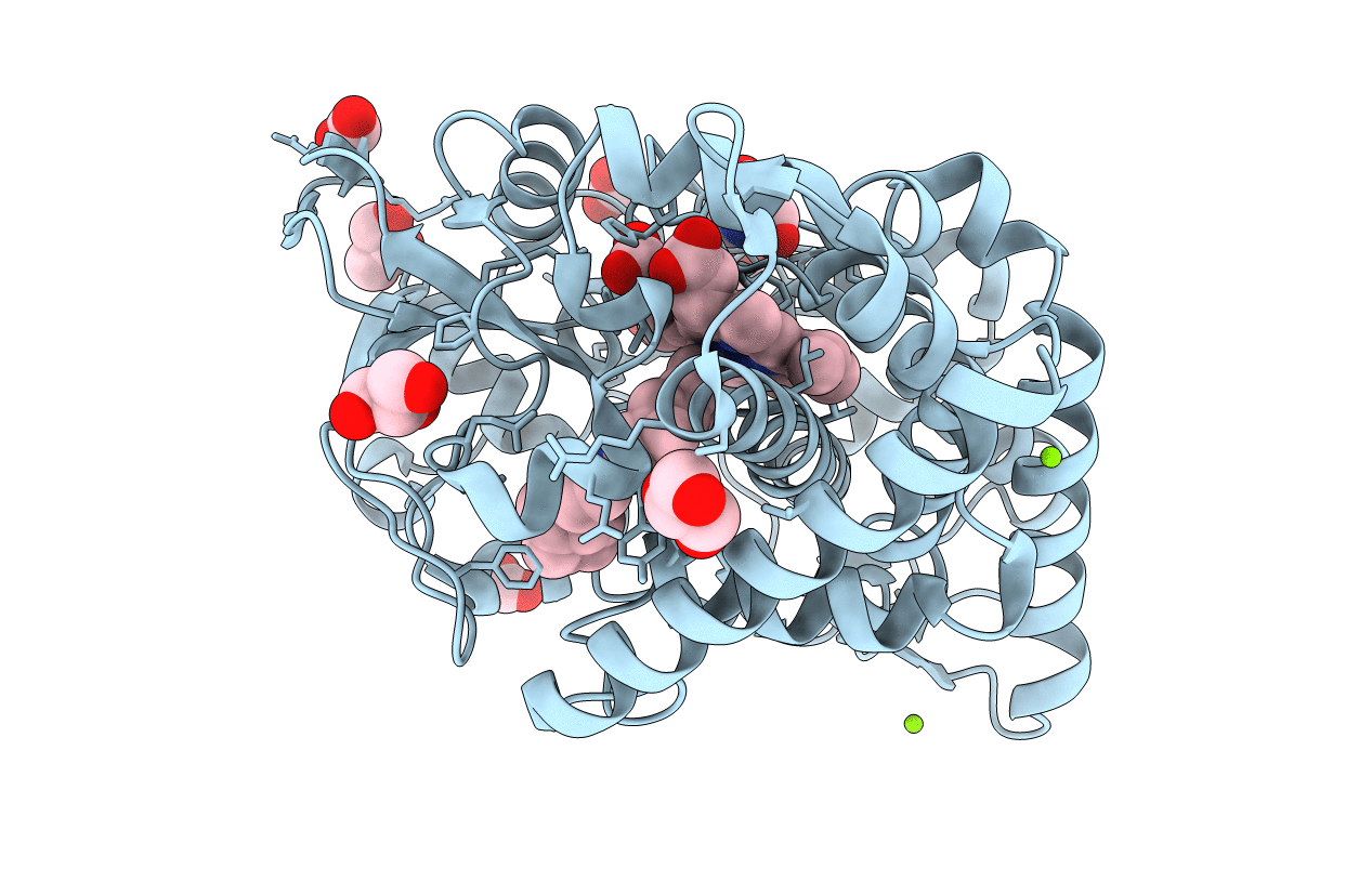 6T0J image
