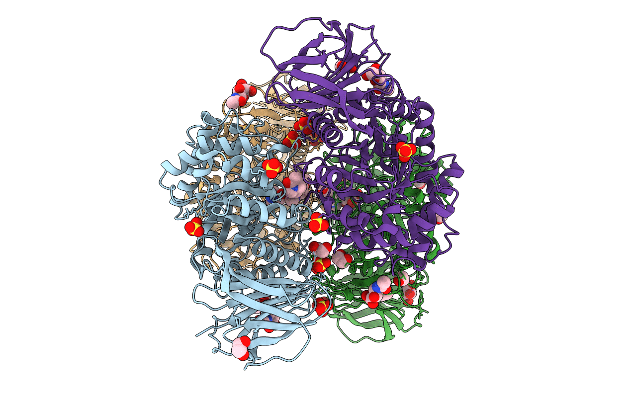 6T13 image