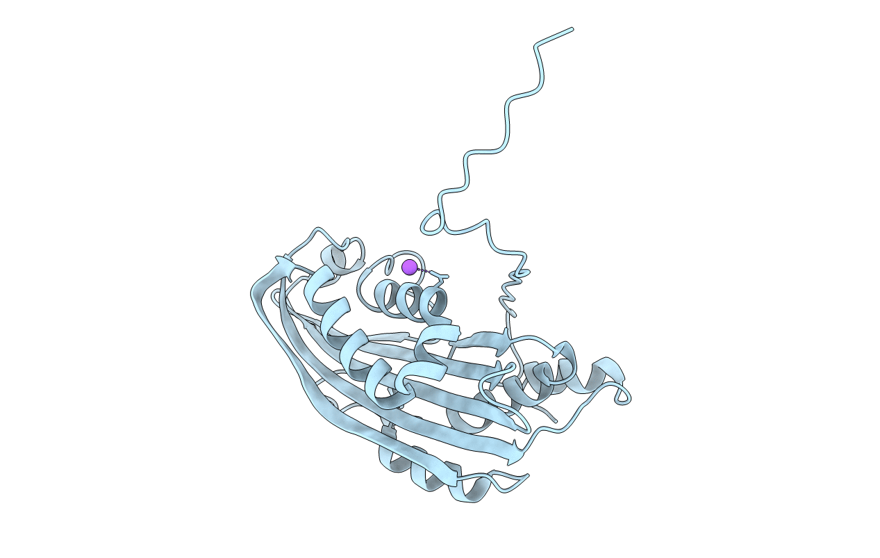 6T14 image