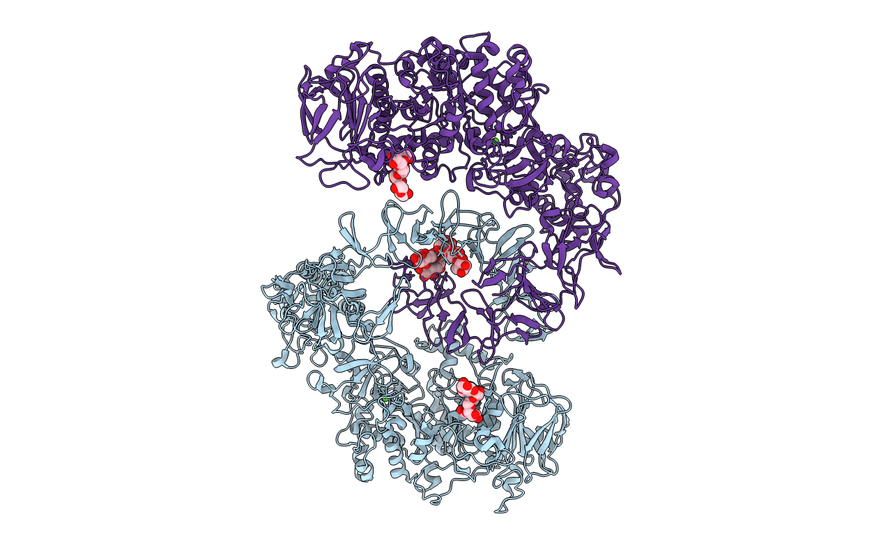 6T16 image