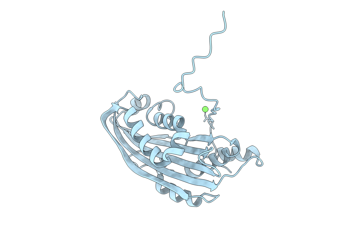 6T1A image