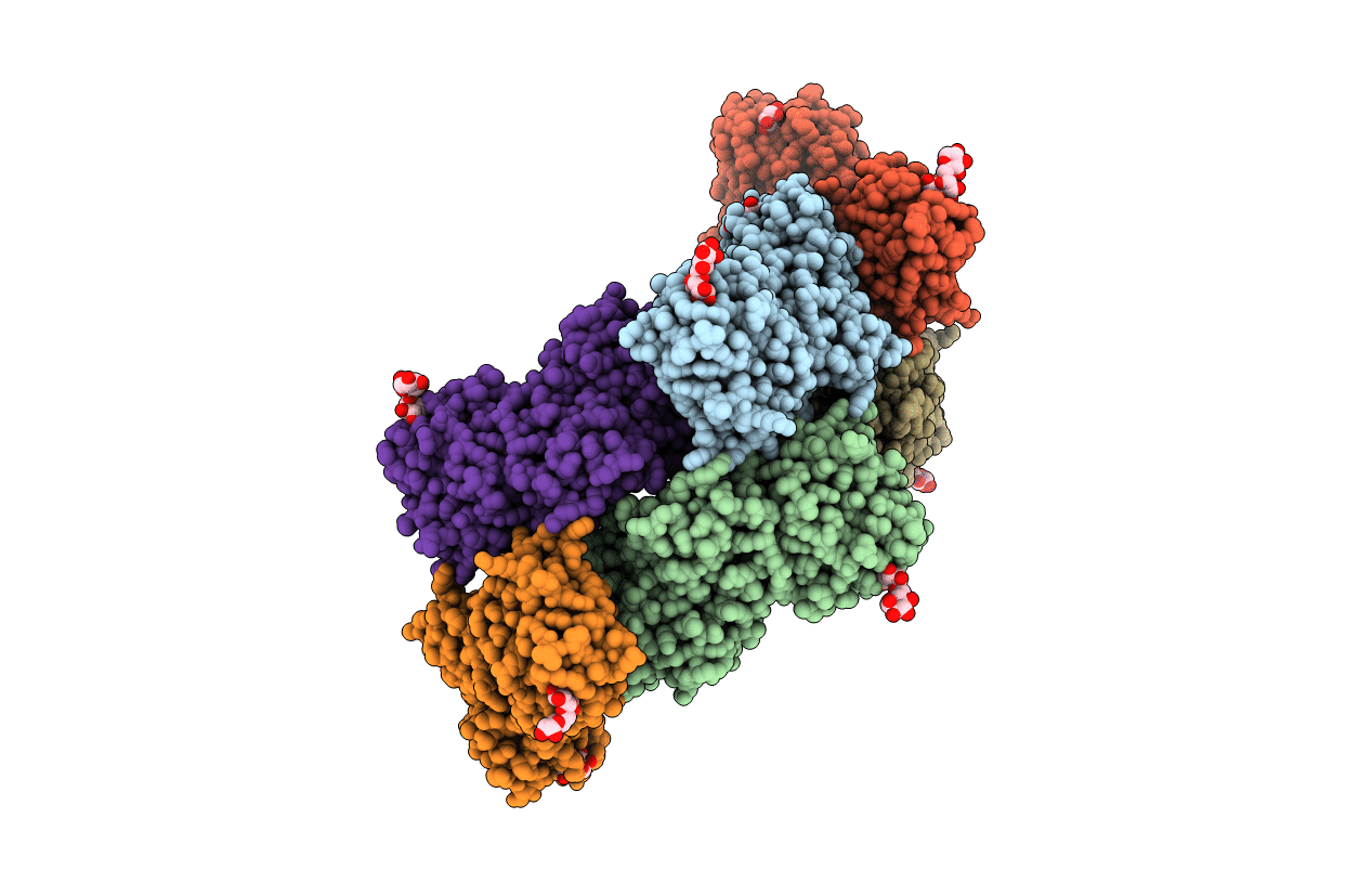 6T1D image