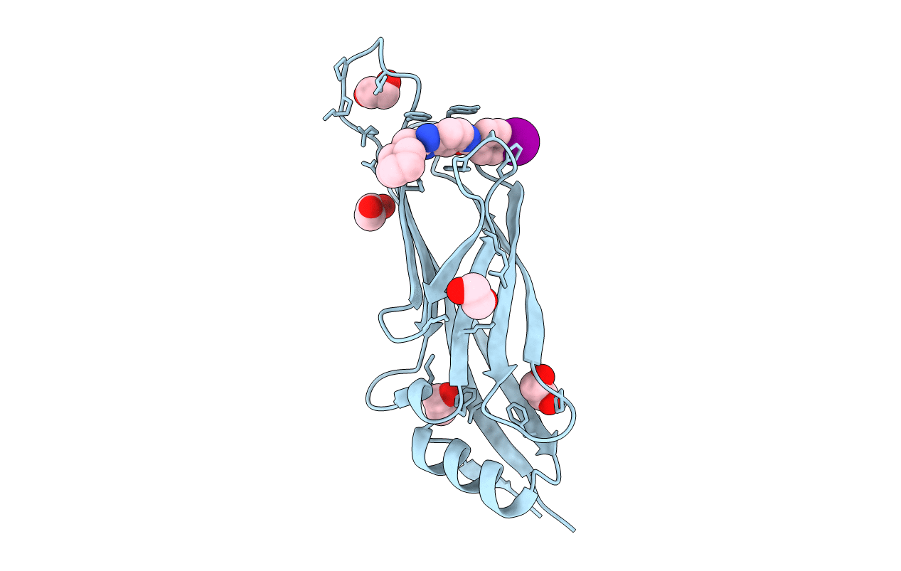 6T1O image