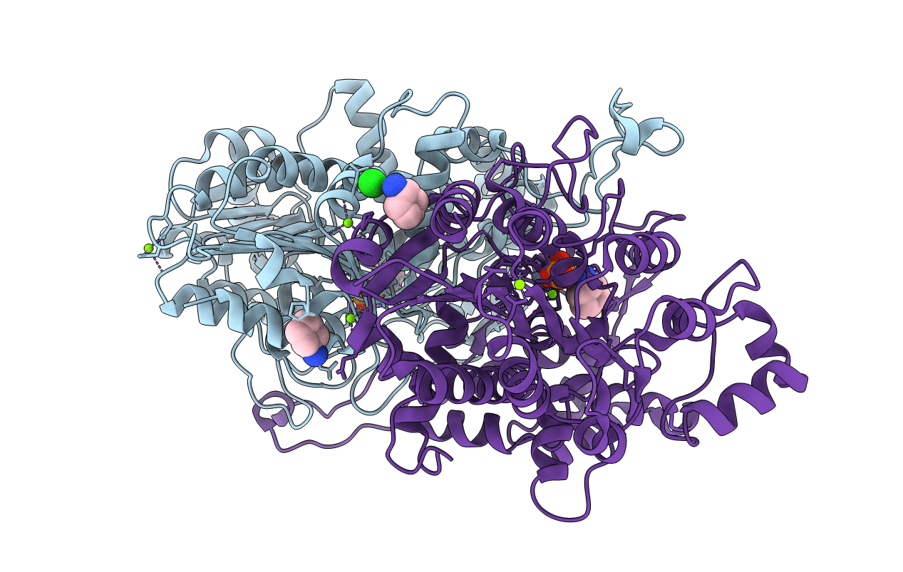 6T26 image