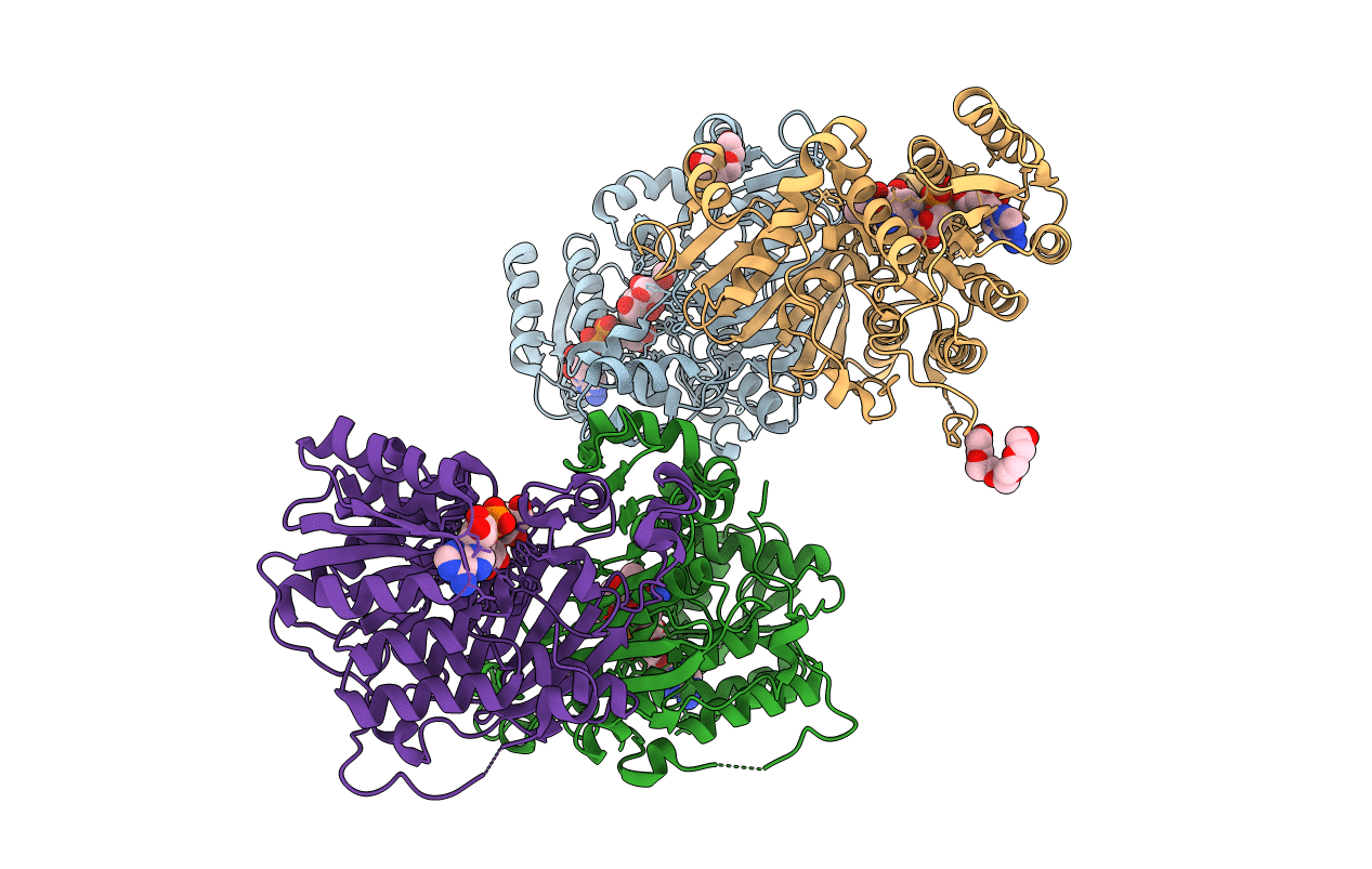 6T2B image