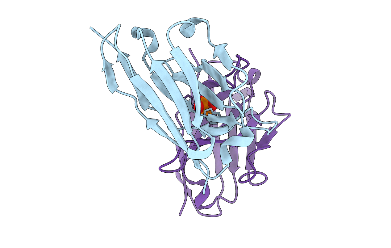 6T2J image