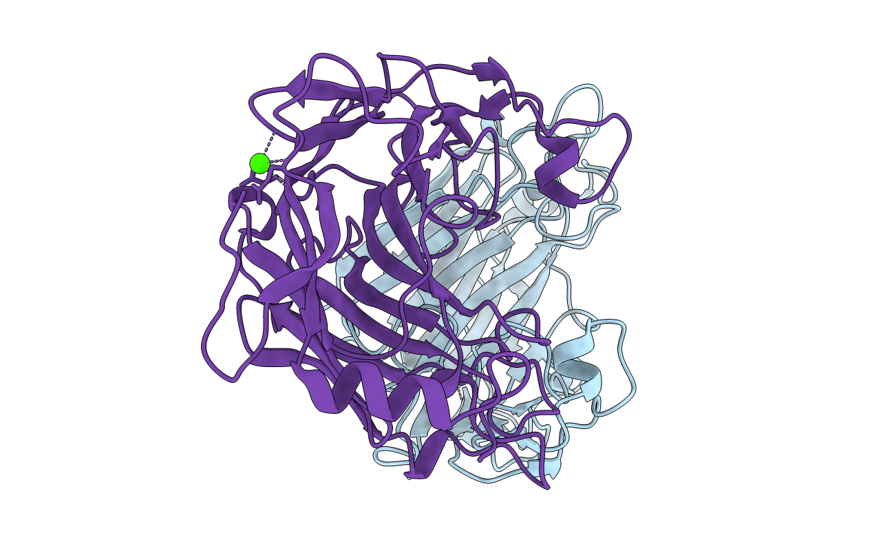 6T2N image