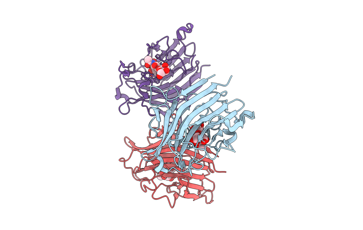 6T2S image