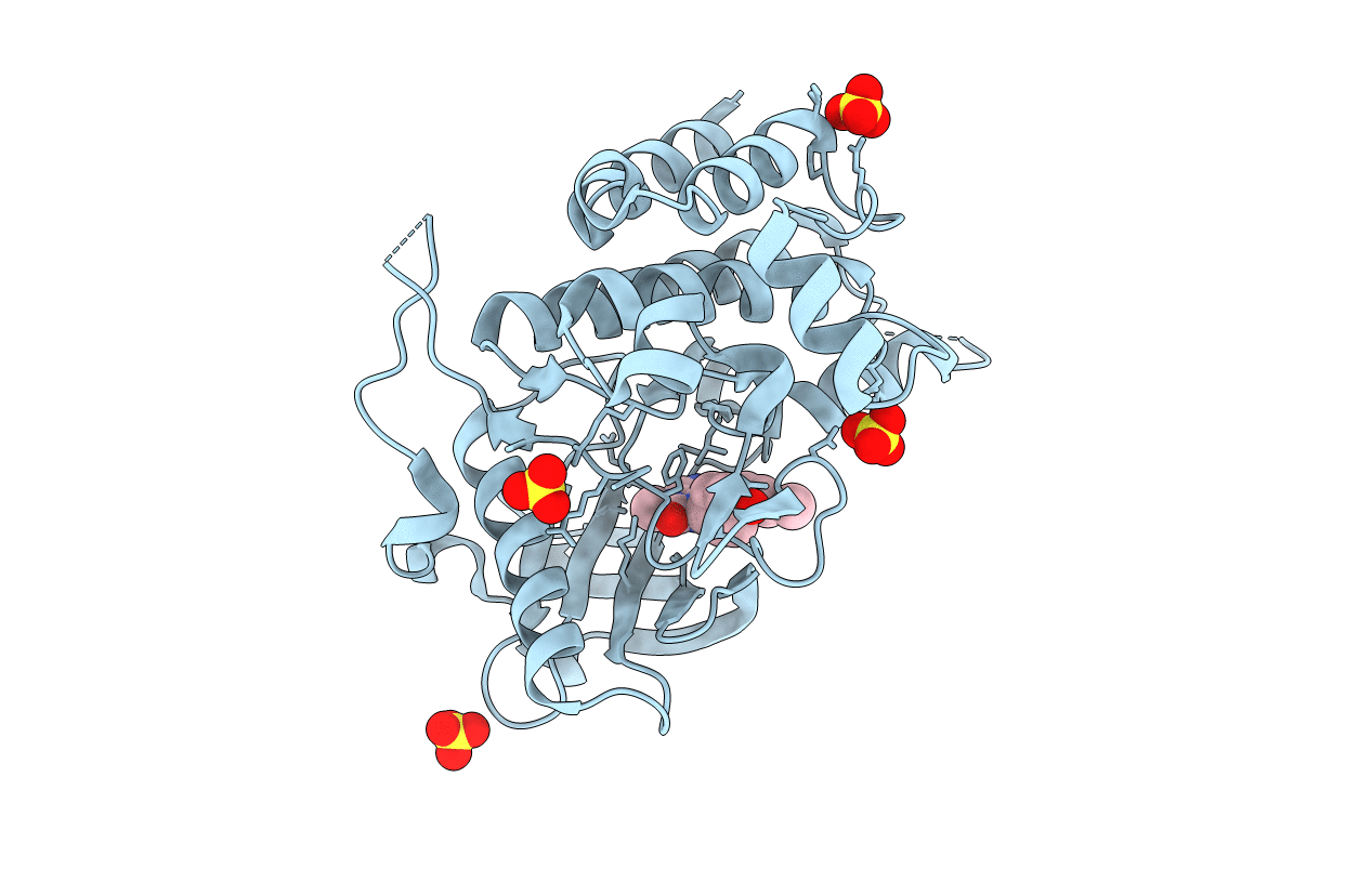 6T2W image