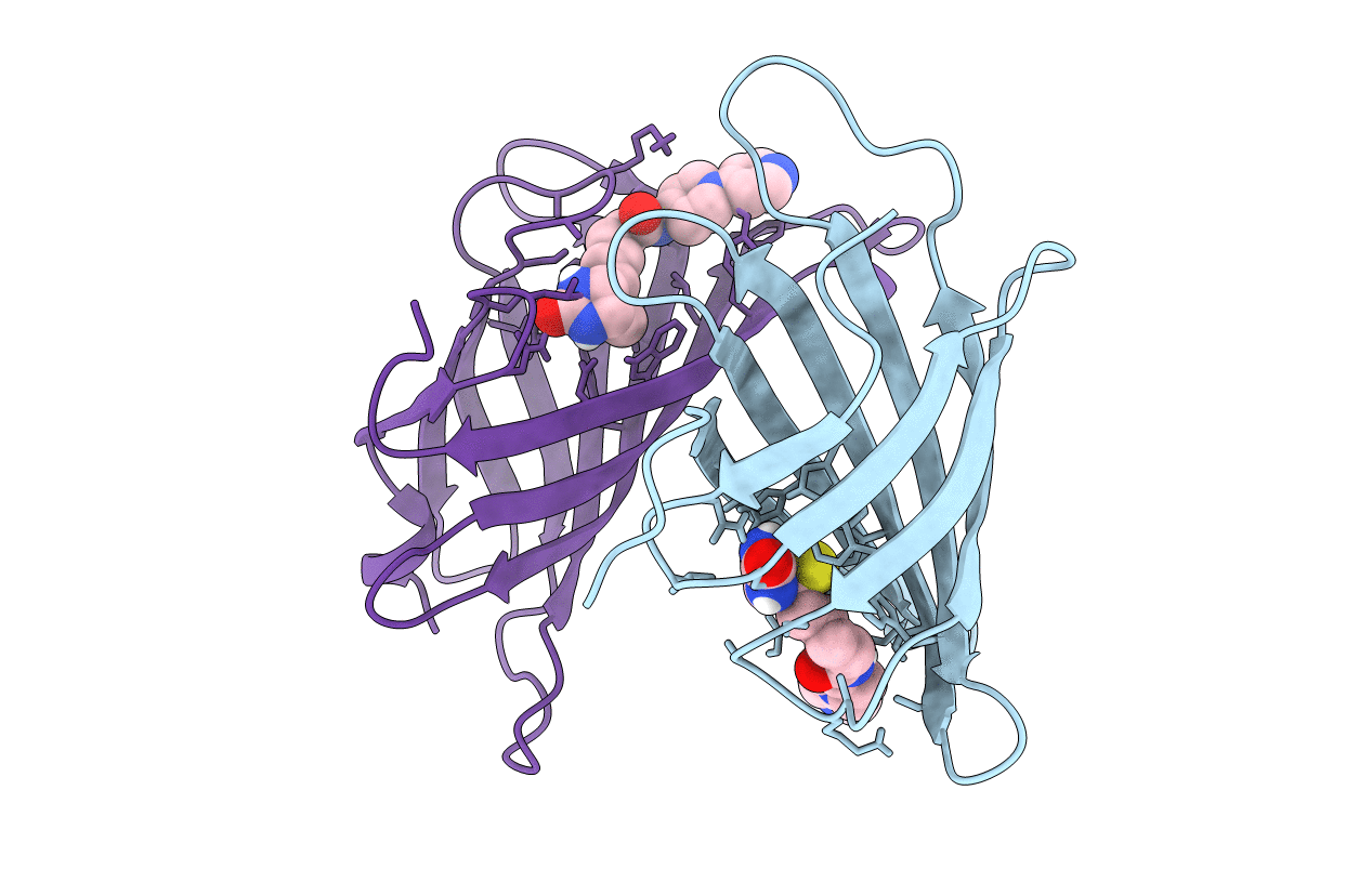 6T31 image