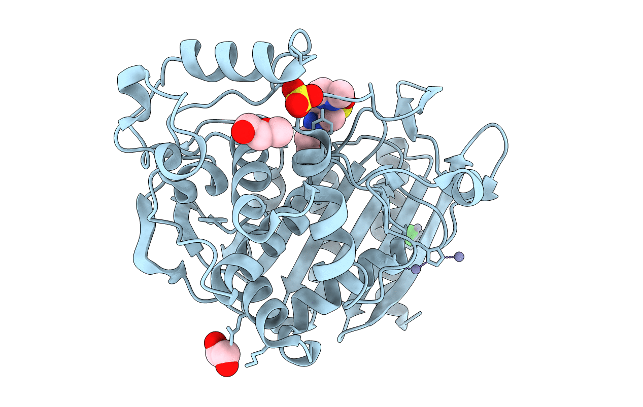 6T35 image