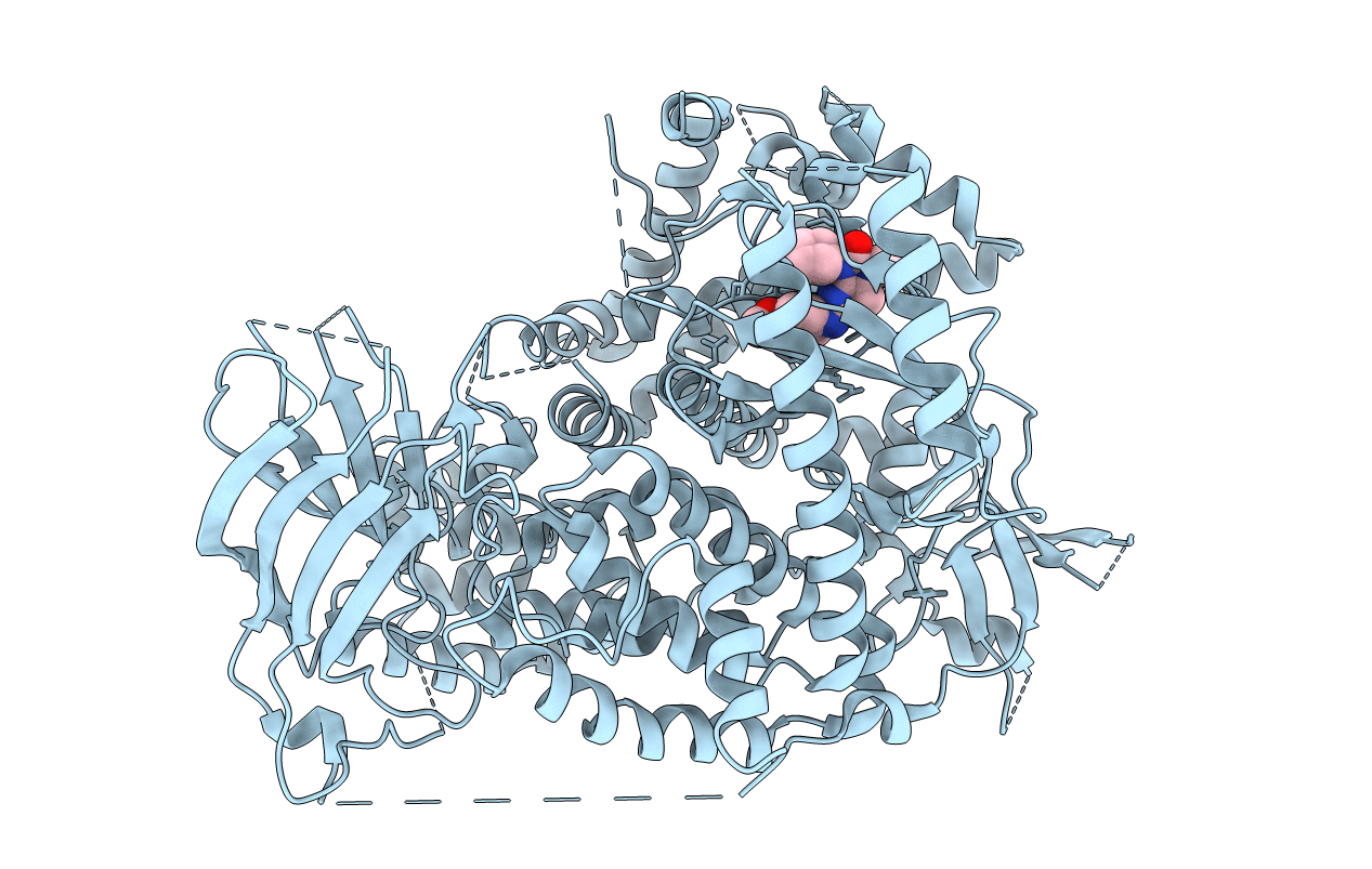 6T3B image