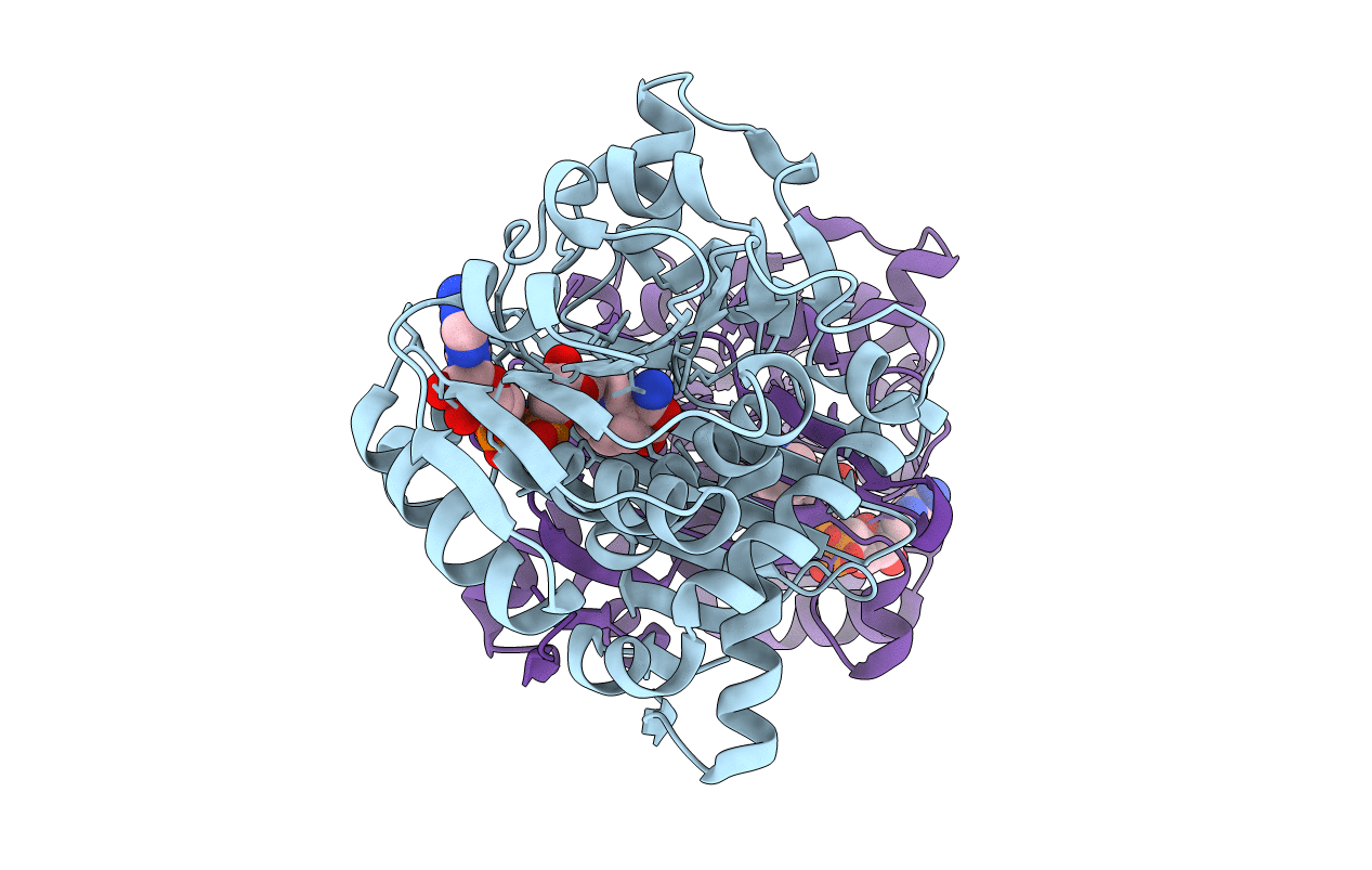 6T3E image
